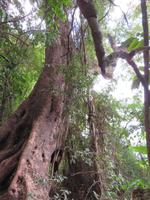 Wanderung um den Dulutisee -