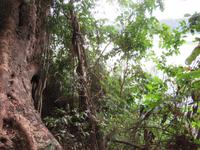 Wanderung um den Dulutisee -