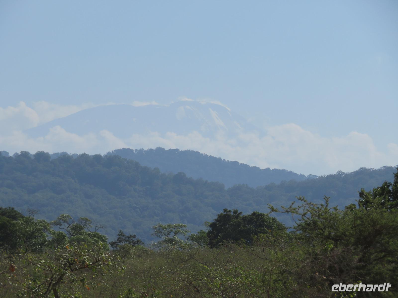 Arusha-Nationalpark - Blick zum Kilimanjaro