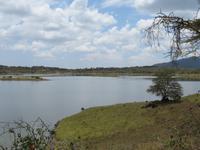 Arusha-Nationalpark - Momollasee