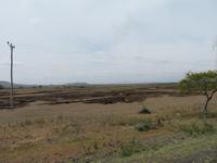 Fahrt zum Tarangire-Nationalpark