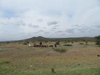 Fahrt zum Tarangire-Nationalpark