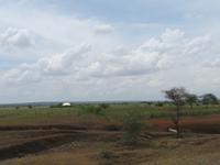 Fahrt zum Tarangire-Nationalpark