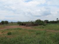 Fahrt zum Tarangire-Nationalpark