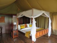 Tarangire Simba Lodge