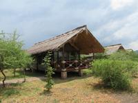 Tarangire Simba Lodge