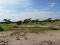 Tarangire Nationalpark