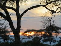 Tarangire Nationalpark - Sonnenuntergang