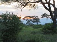 Tarangire Nationalpark - Abendstimmung