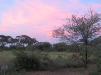 Tarangire Nationalpark - Morgenstimmung