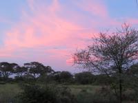 Tarangire Nationalpark - Morgenstimmung