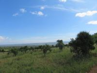 Tarangire Nationalpark -