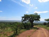 Tarangire Nationalpark