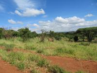 Tarangire Nationalpark