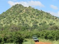 Tarangire Nationalpark -