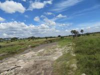 Tarangire Nationalpark