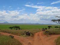 Tarangire Nationalpark