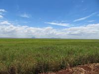 Tarangire Nationalpark