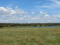Tarangire Nationalpark -