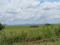Tarangire Nationalpark