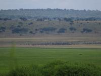 Tarangire Nationalpark
