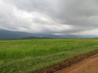 Fahrt zum Manyara-Nationalpark