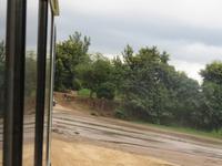 Fahrt zum Manyara-Nationalpark