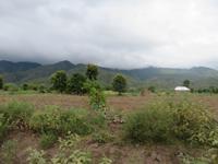 Fahrt zum Manyara-Nationalpark