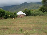 Fahrt zum Manyara-Nationalpark