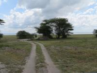 Manyara-Nationalpark