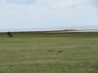 Manyara-Nationalpark