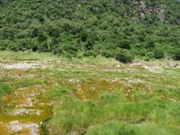 Manyara-Nationalpark - heiße Quellen