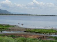 Manyara-Nationalpark - heiße Quellen
