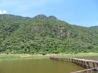 Manyara-Nationalpark - heiße Quellen