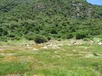 Manyara-Nationalpark - heiße Quellen