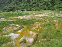 Manyara-Nationalpark - heiße Quellen