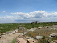 Manyara-Nationalpark - heiße Quellen