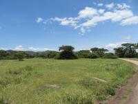 Manyara-Nationalpark