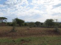 Fahrt zur Endoro Lodge