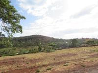 Fahrt zur Endoro Lodge