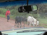 Ngorongoro Nationalpark