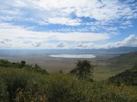Ngorongoro Nationalpark - Blick in den Krater