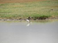 Ngorongoro Nationalpark -