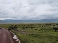 Ngorongoro Nationalpark -