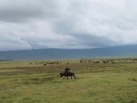 Ngorongoro Nationalpark -
