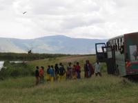 Ngorongoro Nationalpark - Schulausflug