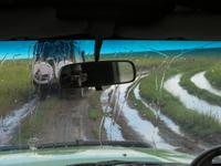 Serengeti - nach einem heftigen Regenguss verwandeln sich die Pisten in Bäche und Schlammläufe