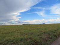 Serengeti - unendliche Weite