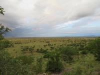 Serengeti -
