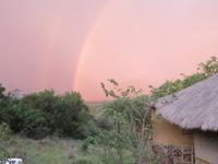 Serengeti - Serengeti Simba Lodge - Regenbogen und Gewitter